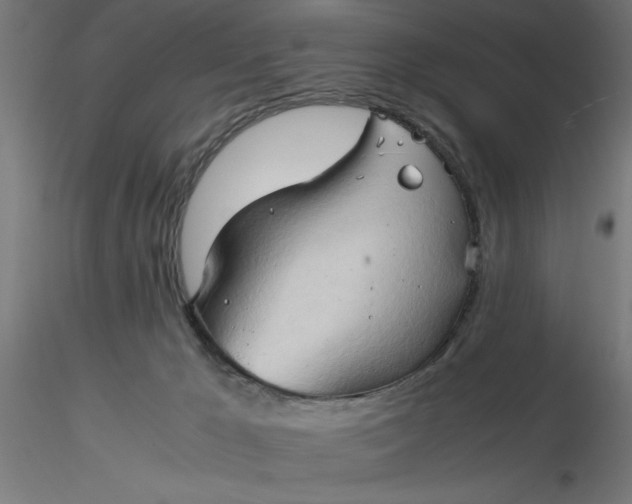 X0000116680029200912291729