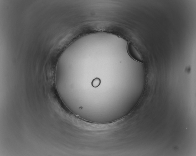 X0000116680031200912291729