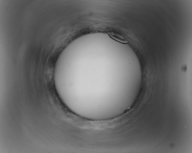 X0000116680033200912291729