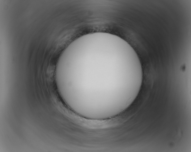 X0000116680034200912291729