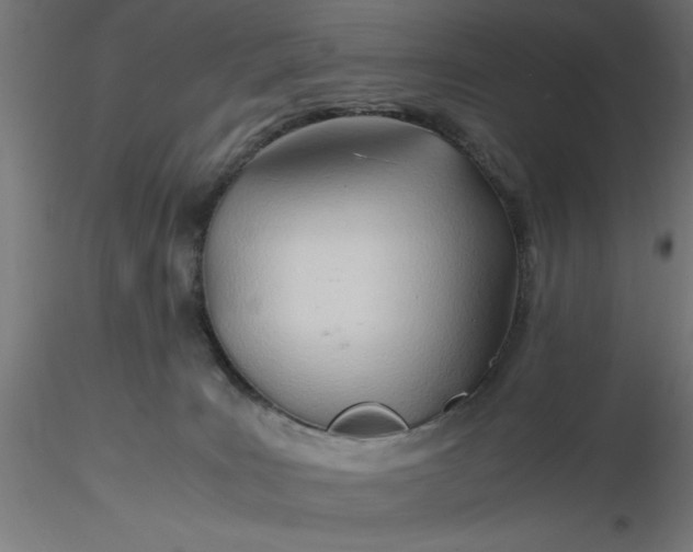 X0000116680035200912291728