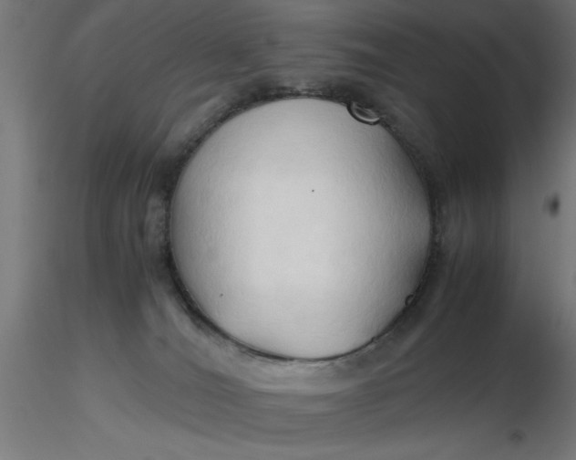 X0000116680036200912291728