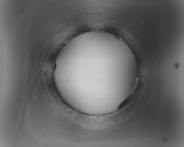 X0000116680037200912291728