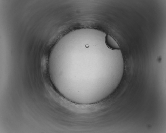 X0000116680038200912291728