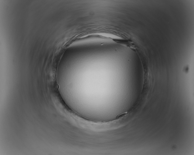 X0000116680039200912291728