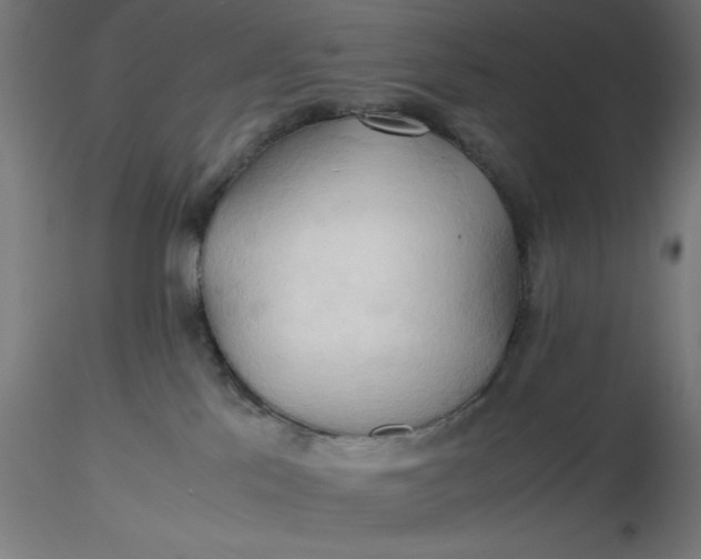 X0000116680041200912291728