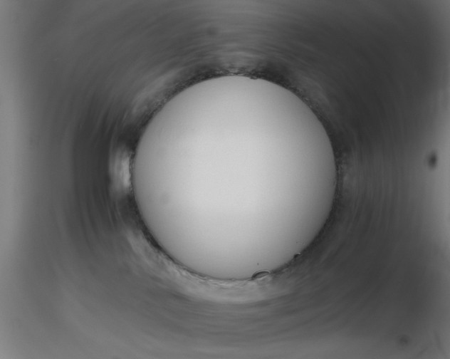 X0000116680042200912291728