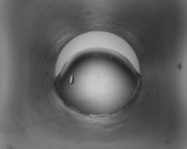 X0000116680043200912291728