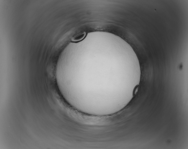 X0000116680044200912291728