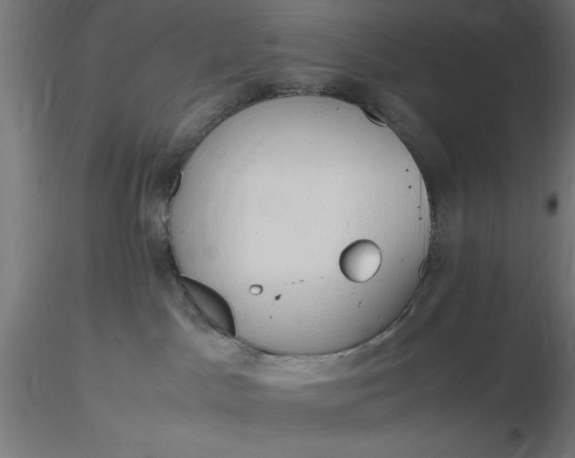 X0000116680045200912291728