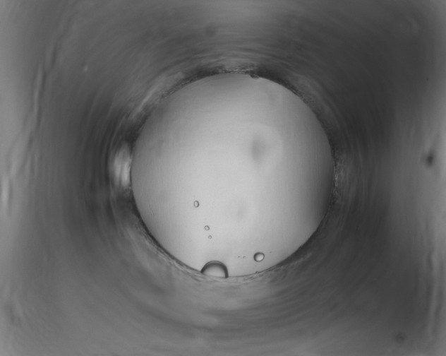 X0000116680046200912291728