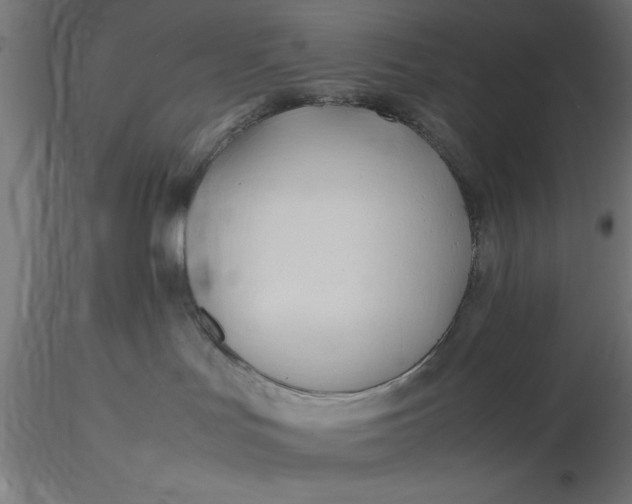 X0000116680047200912291728