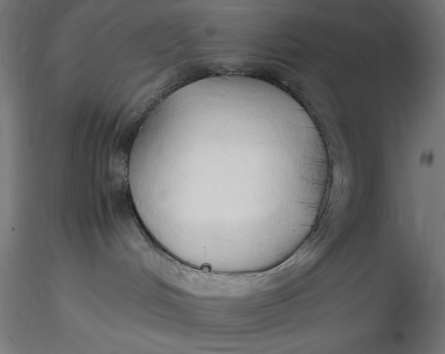 X0000116680048200912291728