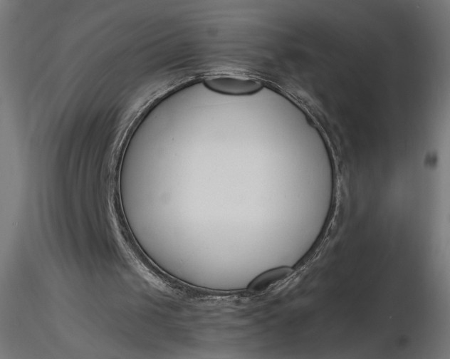 X0000116680049200912291728