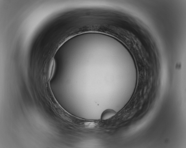 X0000116680050200912291728