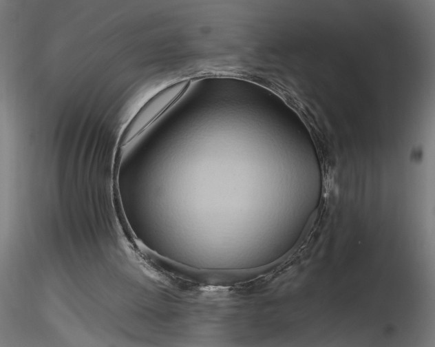 X0000116680052200912291728