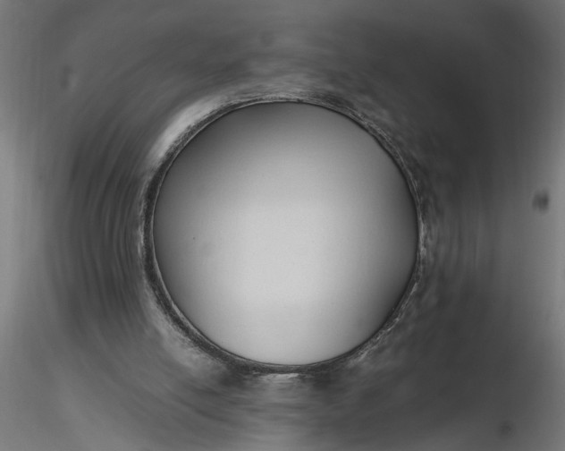 X0000116680054200912291728