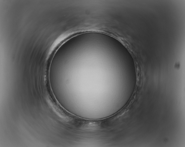 X0000116680056200912291728