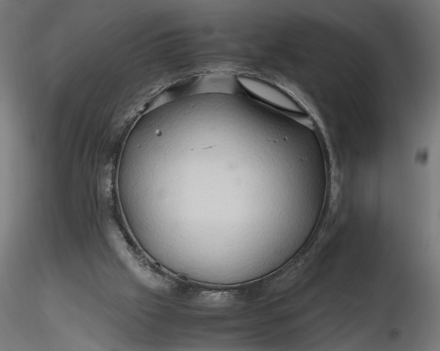 X0000116680057200912291728