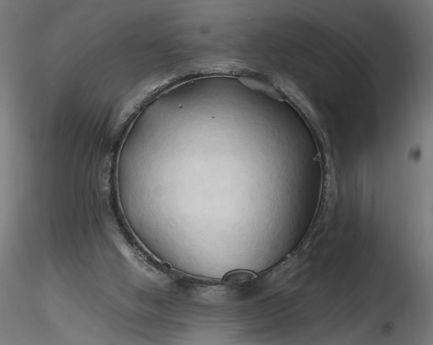 X0000116680058200912291728