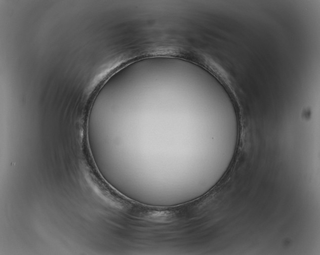 X0000116680059200912291728