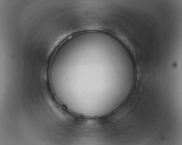 X0000116680060200912291728