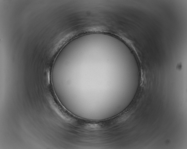 X0000116680061200912291728