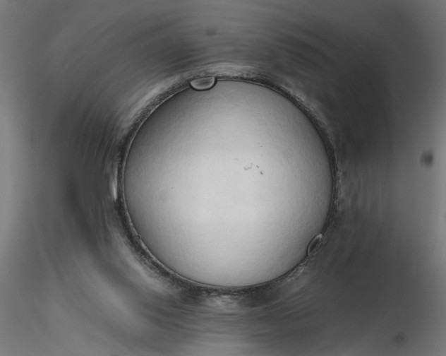 X0000116680062200912291728