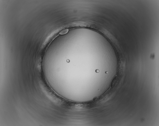 X0000116680064200912291728