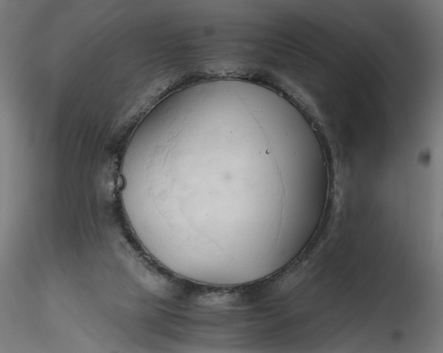 X0000116680065200912291728