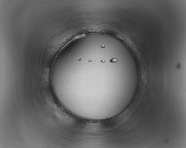 X0000116680066200912291728