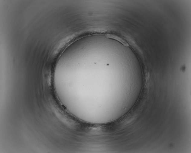 X0000116680068200912291728