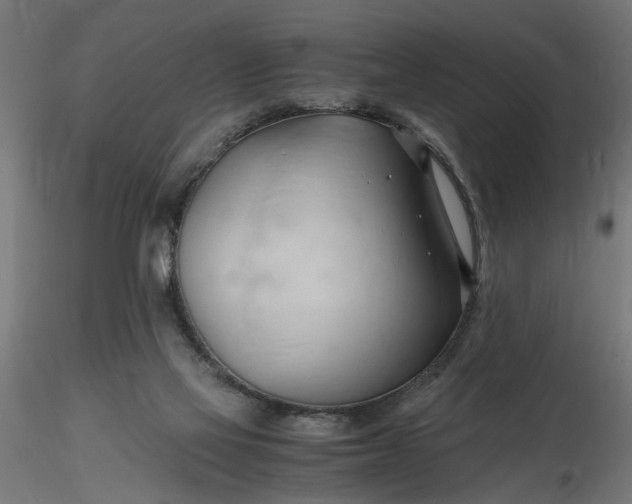 X0000116680069200912291728