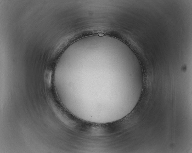 X0000116680070200912291728