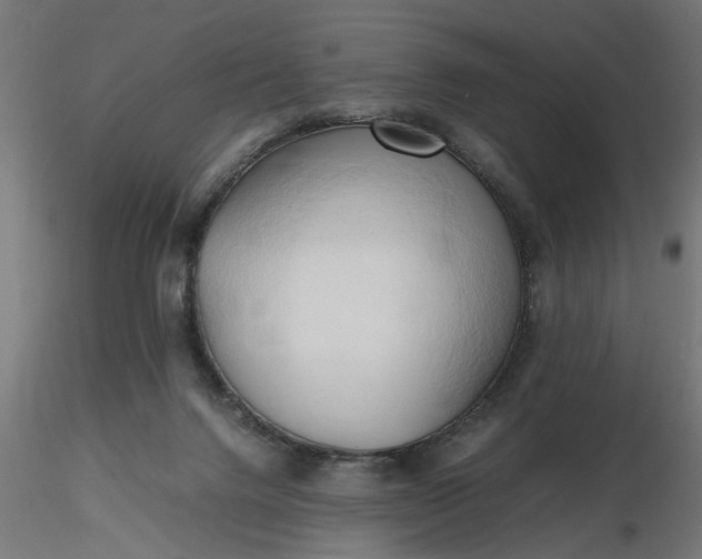 X0000116680072200912291728