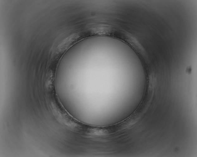 X0000116680073200912291728