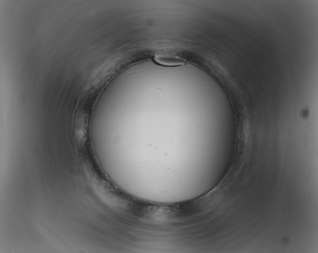 X0000116680074200912291728