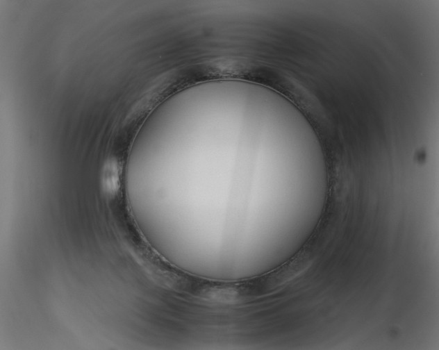 X0000116680075200912291728