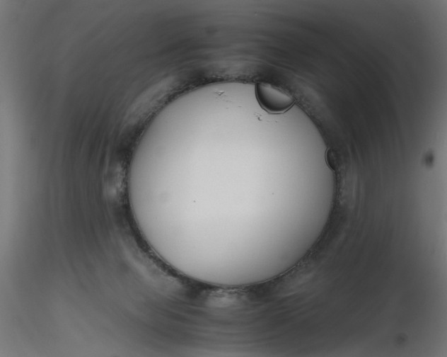 X0000116680077200912291728