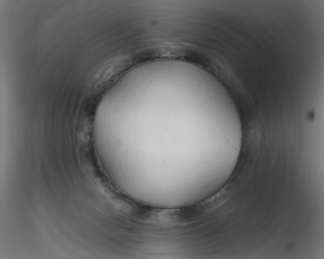 X0000116680078200912291728