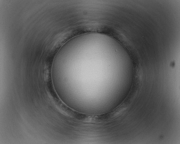 X0000116680080200912291728