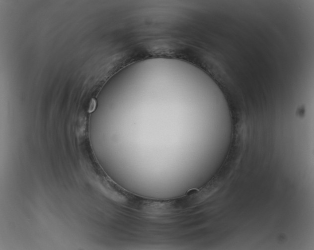 X0000116680081200912291728