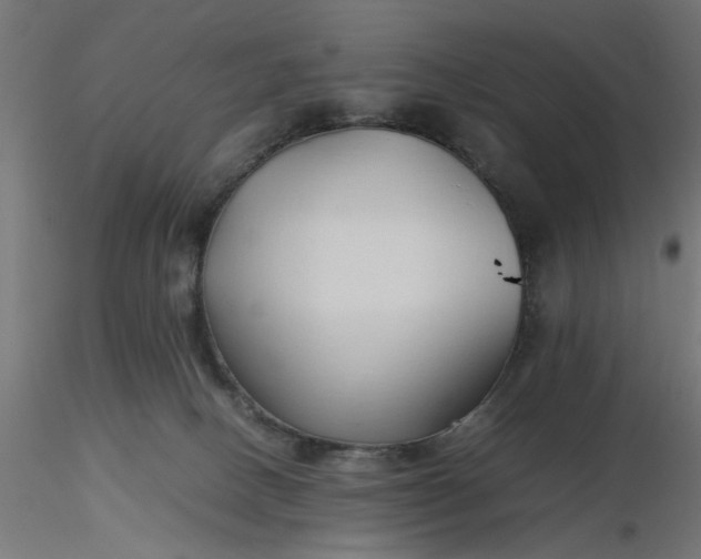 X0000116680082200912291728