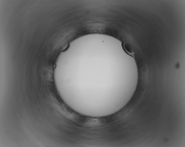 X0000116680083200912291728