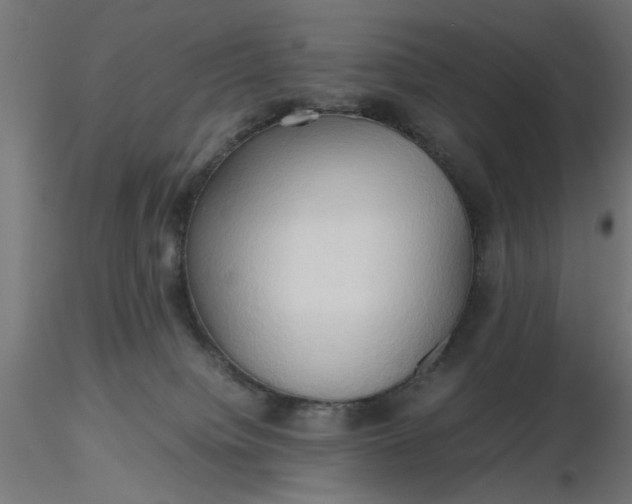 X0000116680084200912291728