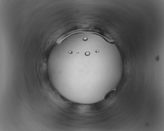 X0000116680085200912291728