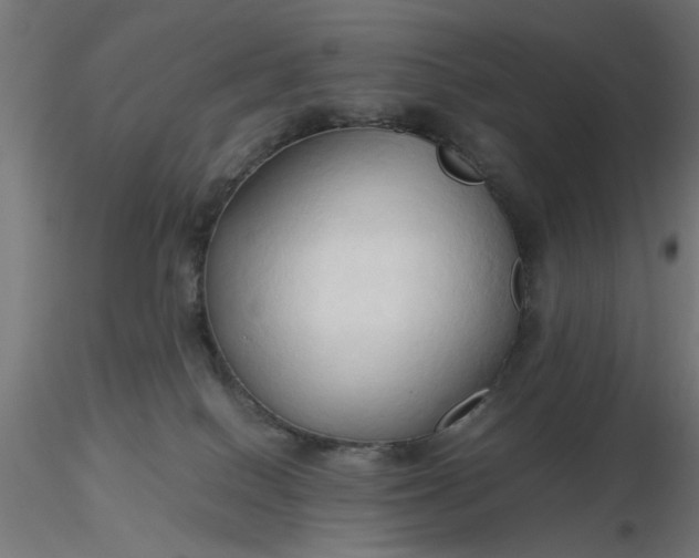 X0000116680086200912291728