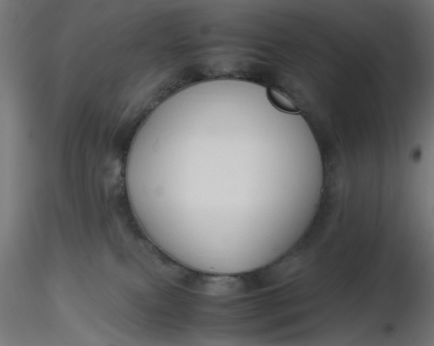 X0000116680087200912291728