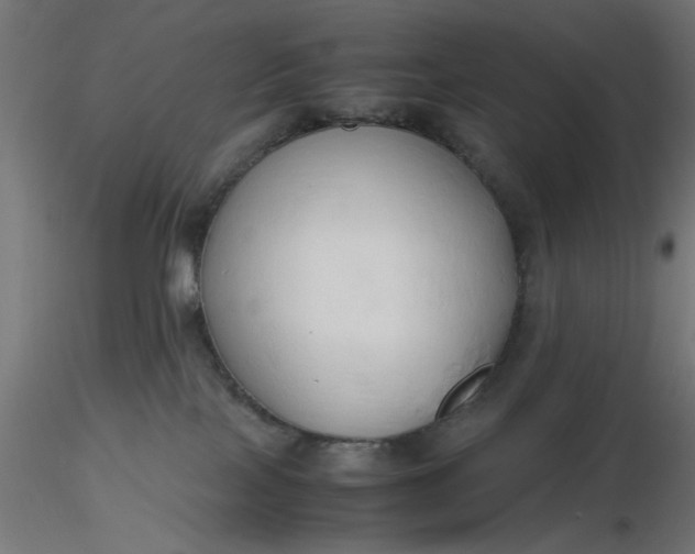 X0000116680089200912291728