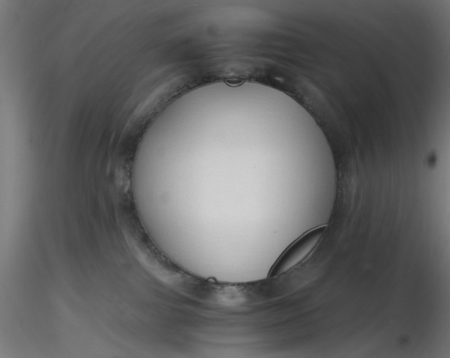 X0000116680091200912291728